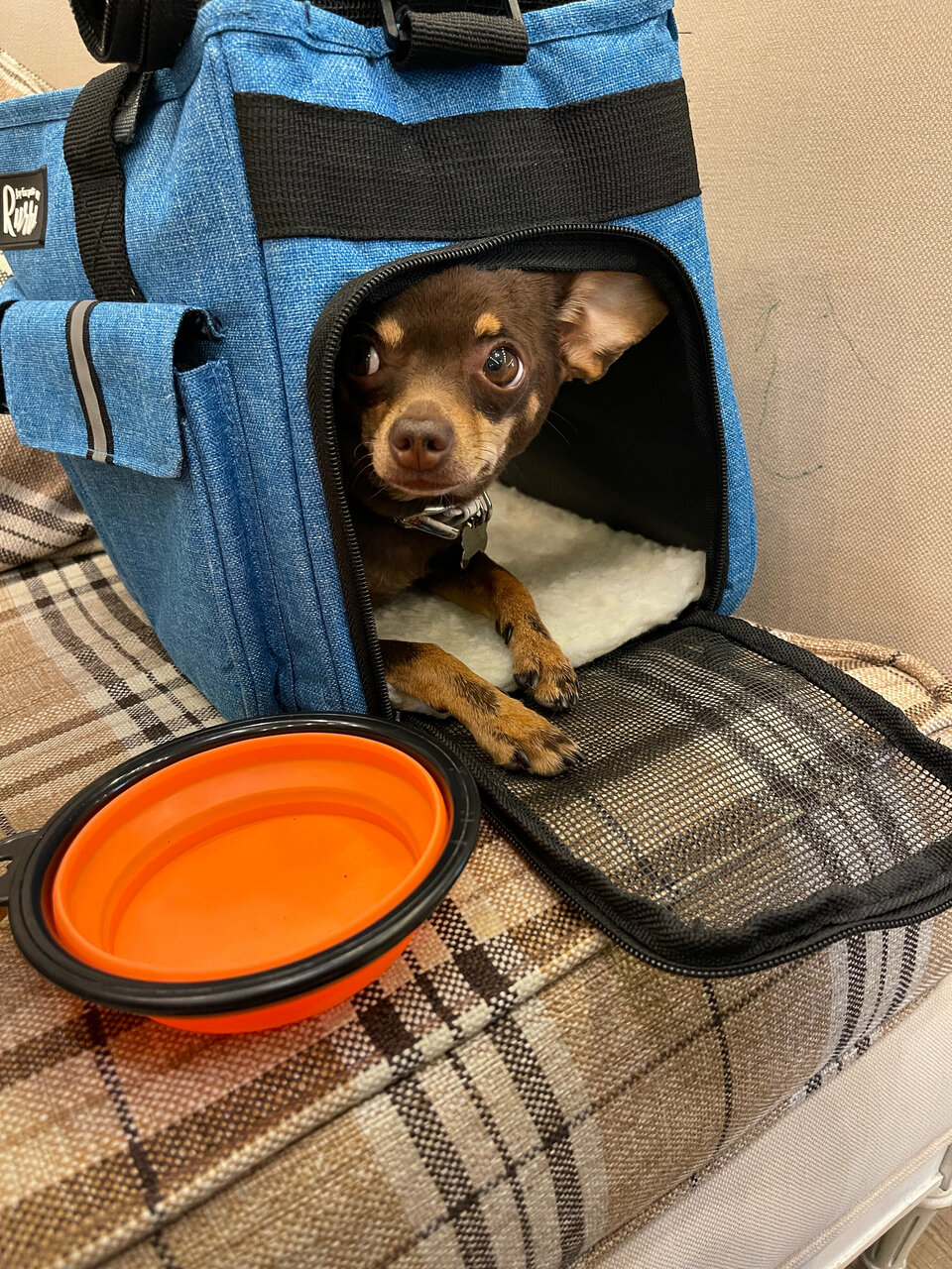 Гостиница Татьяна Прованс Звенигород-213