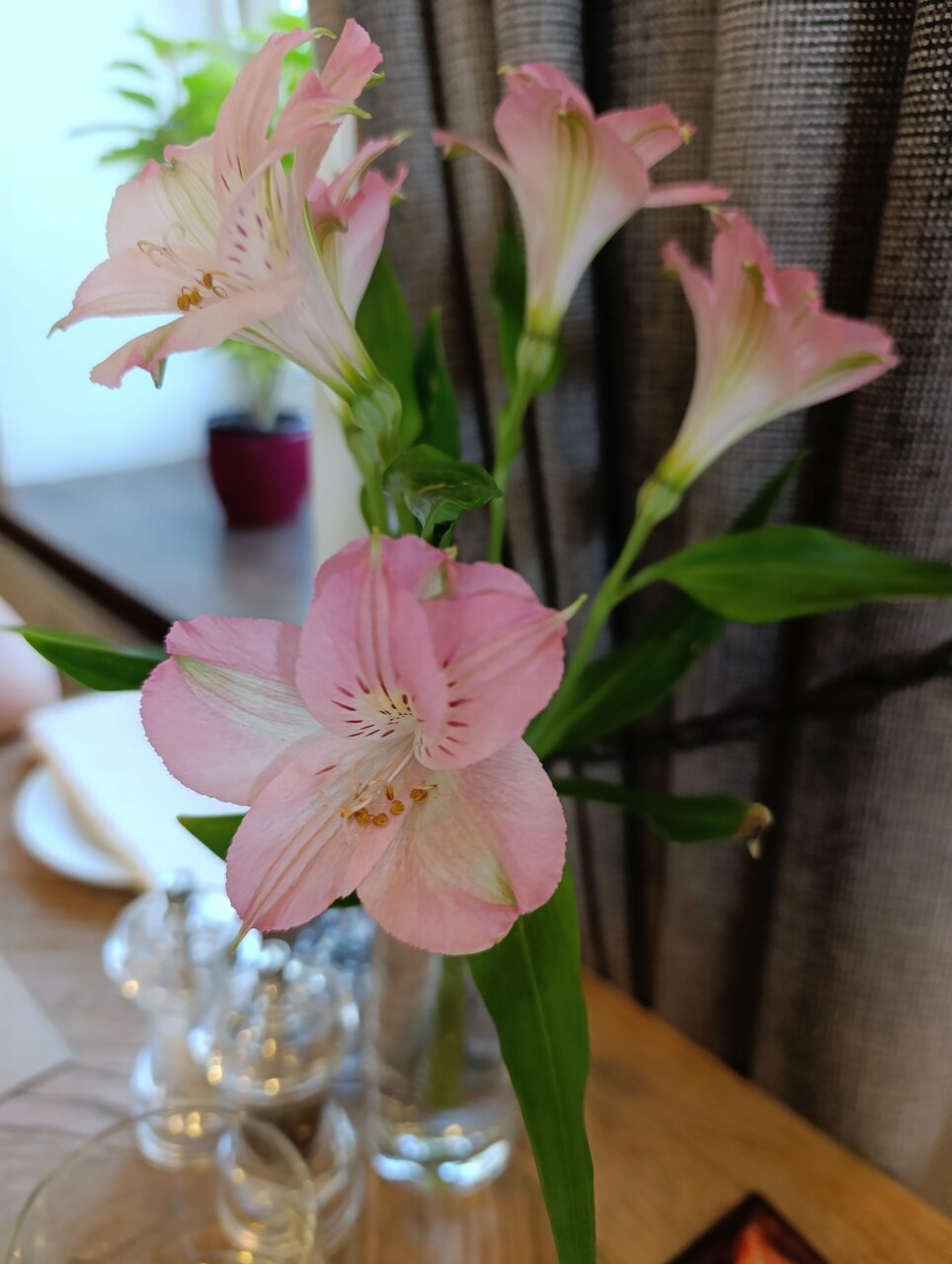 Гостиница Татьяна Прованс Звенигород-212