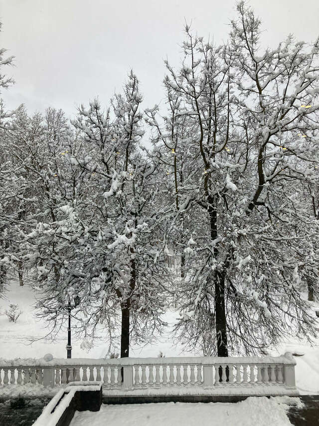 Гостиница Татьяна Прованс Звенигород-239